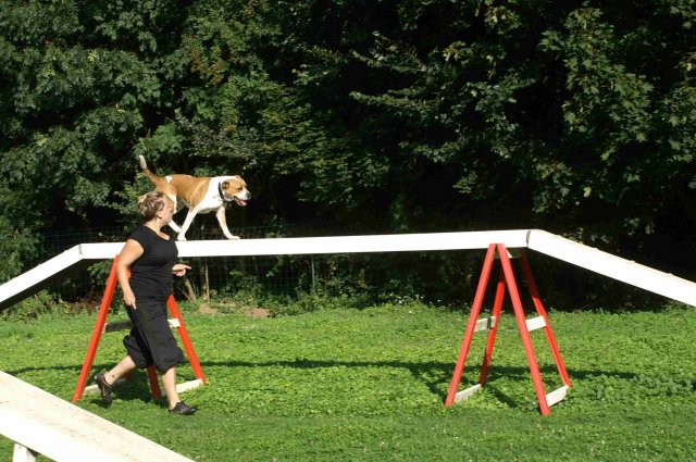 agility 2011-08